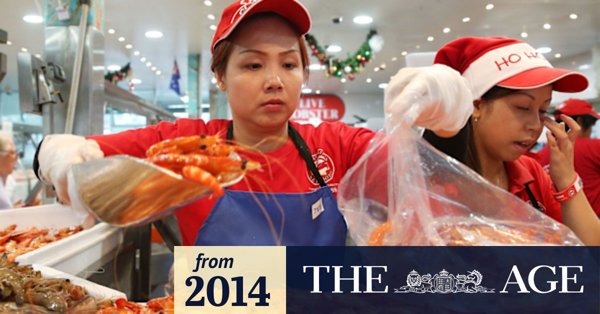 Sydney Fish Market's Christmas 36 hour seafood marathon